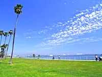 Oceanfront park scene