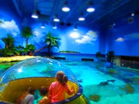 Aquarium viewing dome