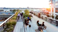 High Line Park scene