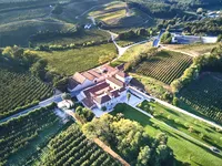 Aerial winery view