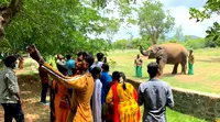 Visitantes en el zoo de Vandalur