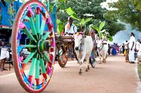 Desfile do festival de Pongal