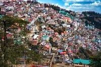 Blick auf die Stadt Shimla am Hang