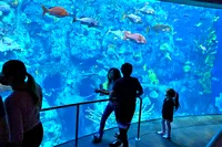 Exposition de poissons d'aquarium