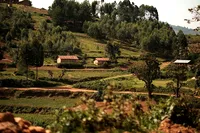 ウガンダの農村風景